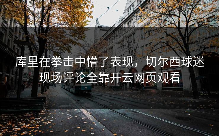 库里在拳击中懵了表现，切尔西球迷现场评论全靠开云网页观看