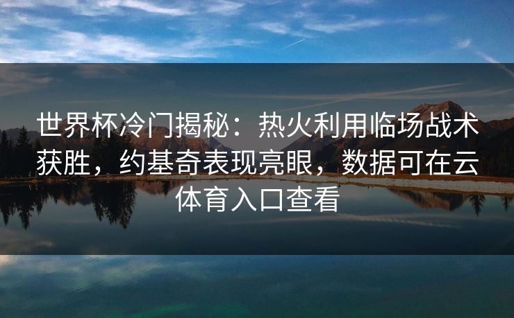 世界杯冷门揭秘：热火利用临场战术获胜，约基奇表现亮眼，数据可在云体育入口查看